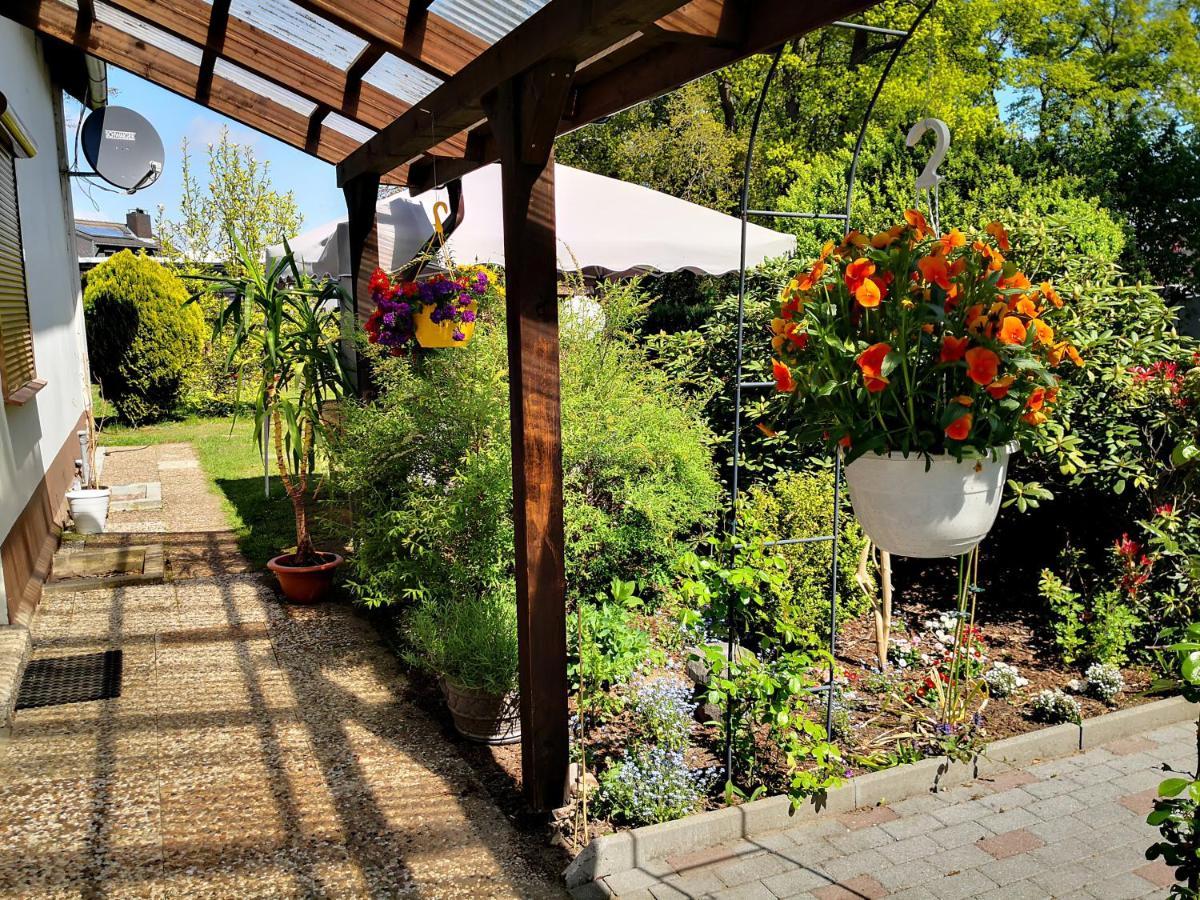 Charmante Ferienwohnung 3 Zimmer Kueche Bad Zentrale Lage Hagen im Bremischen Esterno foto